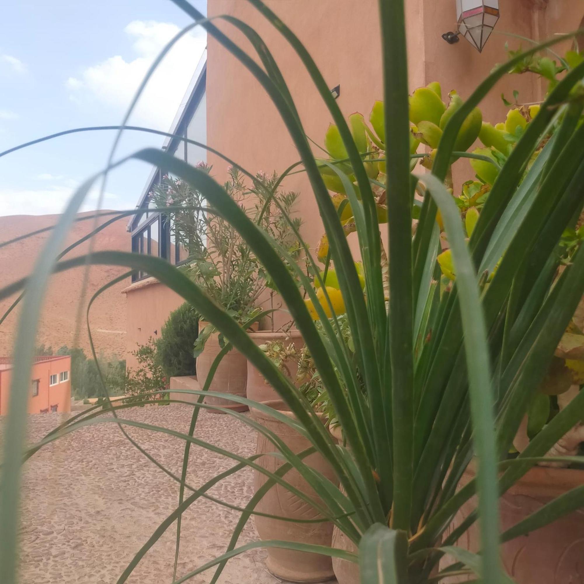 Kasbah Flilou Hotel Ait Ougliff Exterior photo